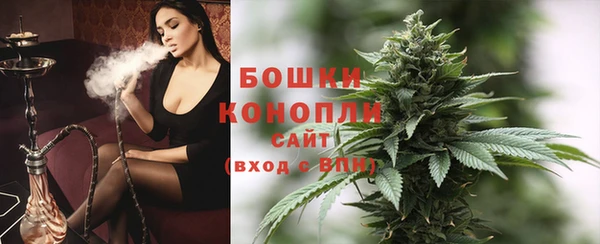 PSILOCYBIN Лиски