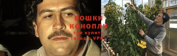 PSILOCYBIN Липки