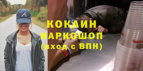индика Алагир
