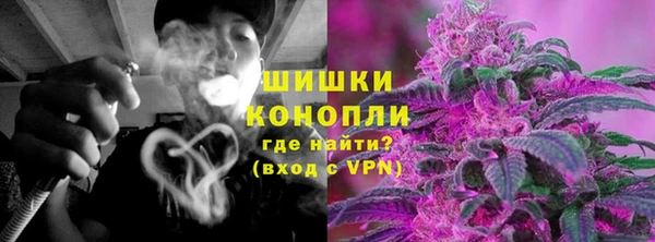 PSILOCYBIN Липки