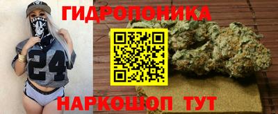 стафф Бийск