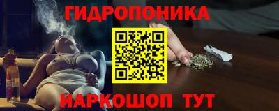 стафф Бийск