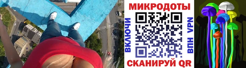 наркотики  Гусь-Хрустальный  Псилоцибиновые грибы Psilocybe 