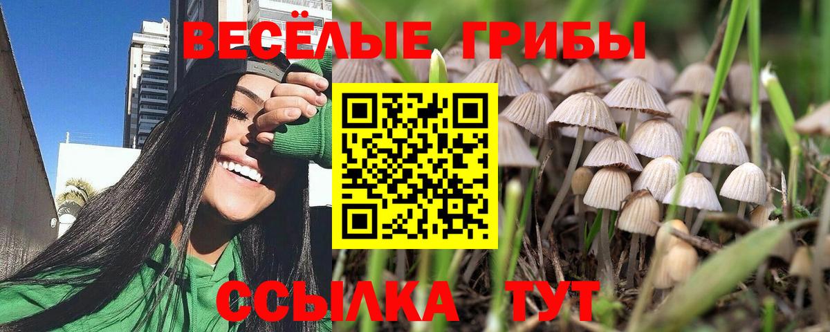 Галлюциногенные грибы ЛСД  как найти закладки  Гусь-Хрустальный  Вход с VPN 