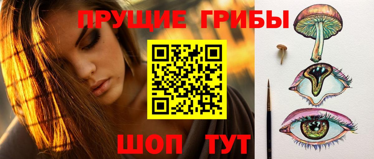 купить наркоту  Гусь-Хрустальный  Галлюциногенные грибы ЛСД 